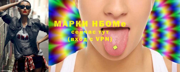 прущие грибы Вяземский